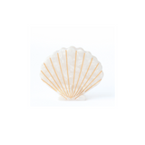 Champagne Clip Seashell