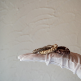 Lunara Scrunchies (3-pack)